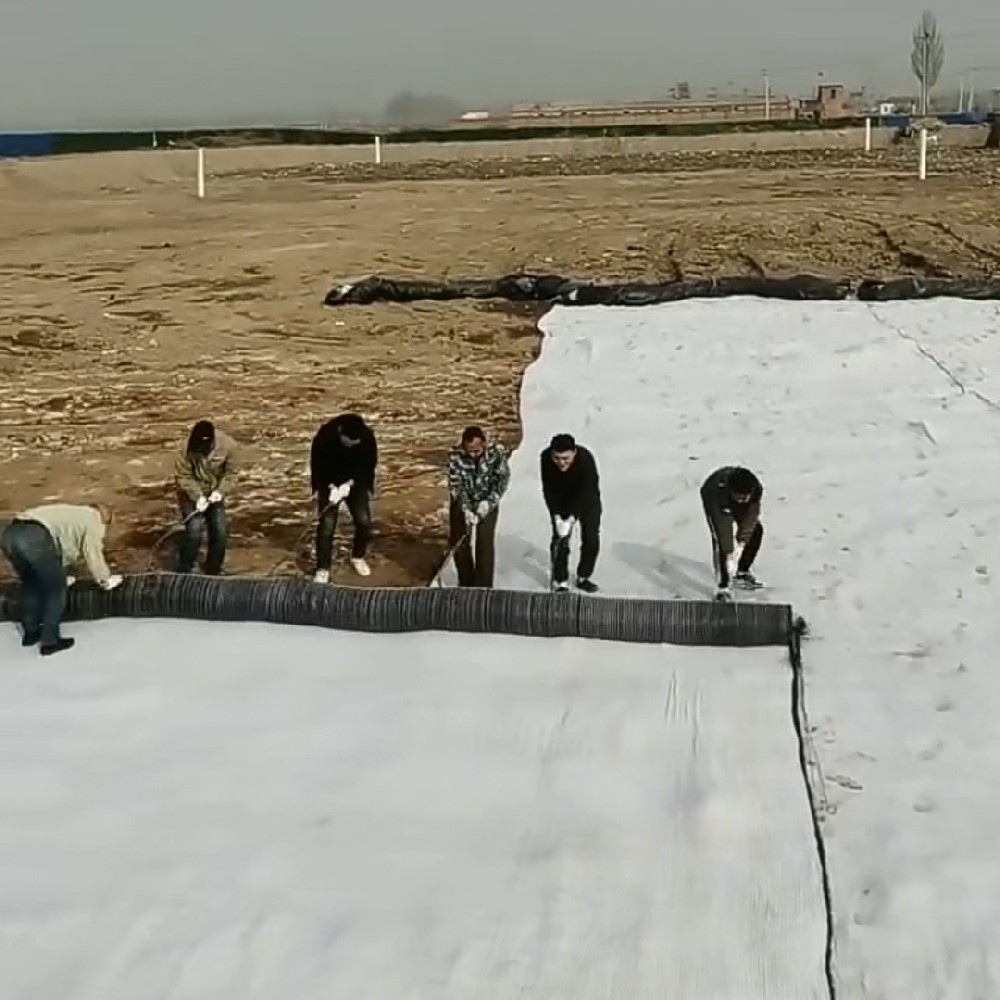 4000g膨润土防水毯
