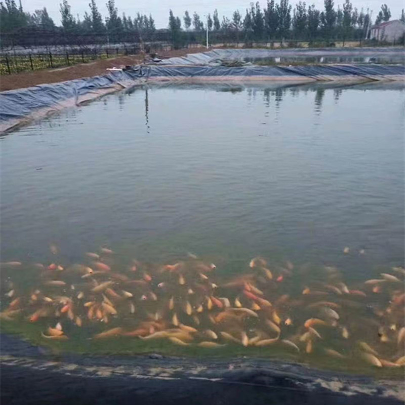 鱼塘防渗膜