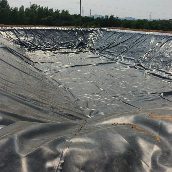 微信图片_20260630105645_62_209.jpg