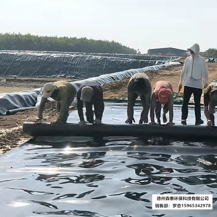 56.jpg